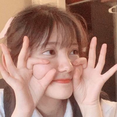 名侦探柯南业火的向日葵满v版下载